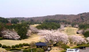 桜 | 西日本セブンスリーゴルフクラブ
